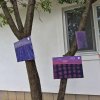 Ziua Porților Deschise CSC Campina